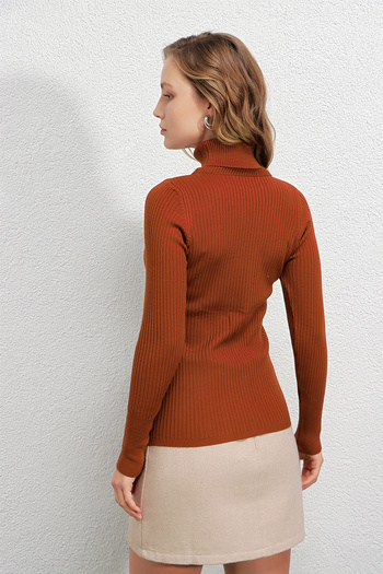 hazelin Women's Brick Ribbed Knitwear Turtleneck Sweater Hzl22W-Bd1445001