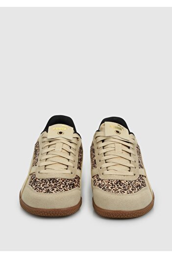 Puma bella donna