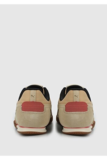 Puma bella donna