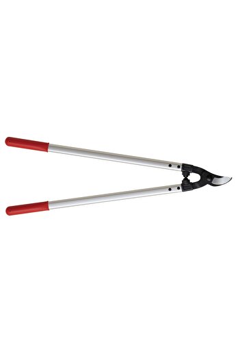 Ars Japanese medium branch shears