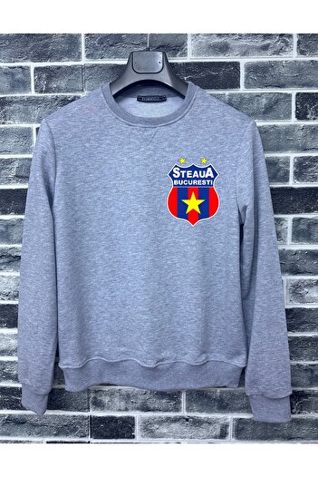 Efendioğlu Design Без капюшона Маленьке логотип Steaua Bükreş світшот з принтом, довгі рукави, без шардону