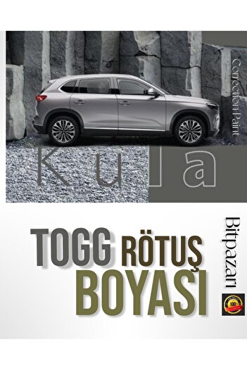 Flea Market TOGG KULA GRAY - 25 مل طلاء ترميم أصلي