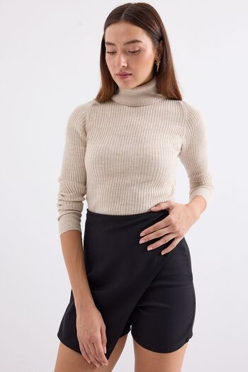 Hiccup Bdart Textured High Neck Slim Fit Knitwear