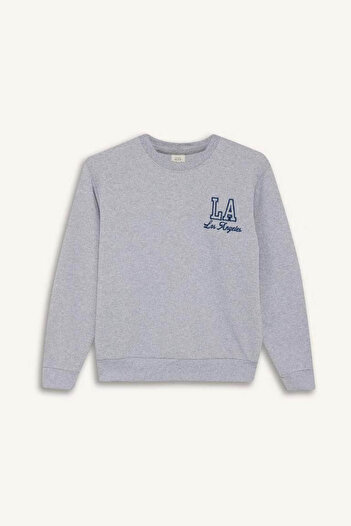 DeFacto 2-Piece Printed Sweatshirt Sweatpants Gray Boys' Top and Bottom Set F2593A8/Gr377