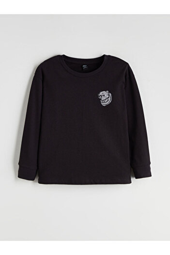 LC Waikiki Crew Neck Printed Boy's T-Shirt