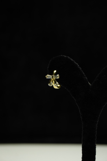 Rumon Zircon Stone Minimal Steel Earrings