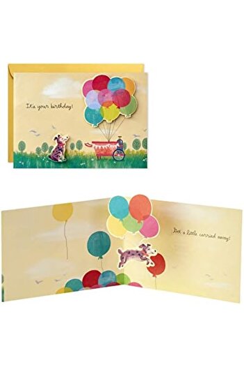 STOREMAX Snshop Paper Wonder Pop up Birthday Card Assortment (5 Cards with Envelopes) 467437