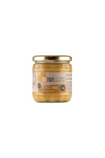 Bio Today Vegan Cream No Cheese Fondue Bio 380g Bio Today