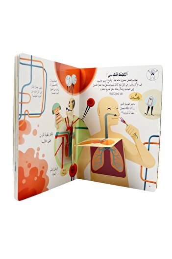 Creative ideas for publishing Discover the human body - Open the window and discover more than 60 folds inside the book