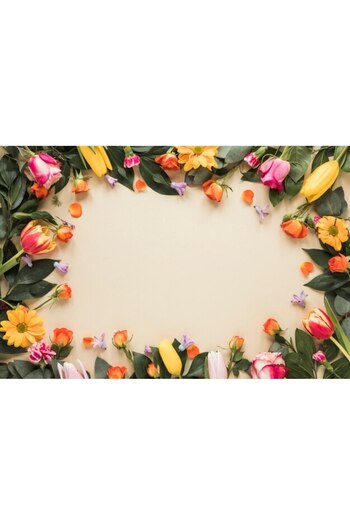 Alista Home Decorative wall painting with wooden frame, 33cm x 24cm, image 2447