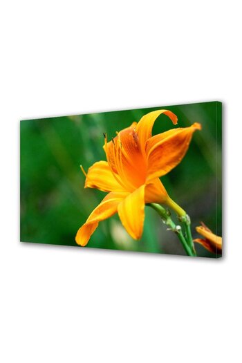 Alista Home Decorative wall painting with wooden frame, 33cm x 24cm, with flowers1495