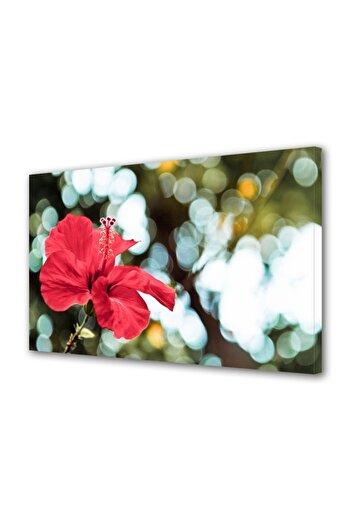 Alista Home Decorative wall painting with wooden frame, 33cm x 24cm, with flowers1604