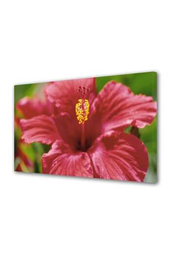 Alista Home Decorative wall painting with wooden frame, 33cm x 24cm, with flowers1384