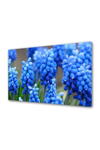 Alista Home Decorative wall painting with wooden frame, 33cm x 24cm, with flowers1401