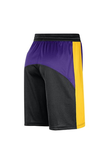 Nike Los Angeles Lakers NBA Dri-Fit Erkek Mor Basketbol Şortu DX9877-504