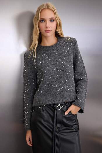 Trendyol Collection Antracit moale texturat Crop/Scurt Pulover Tricotaj brodat cu paiete Pulover TWOAW26KZ00183
