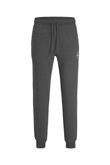 Jack & Jones Jpstgordon Jjshark Sweat Pants at Noos Dark Gray