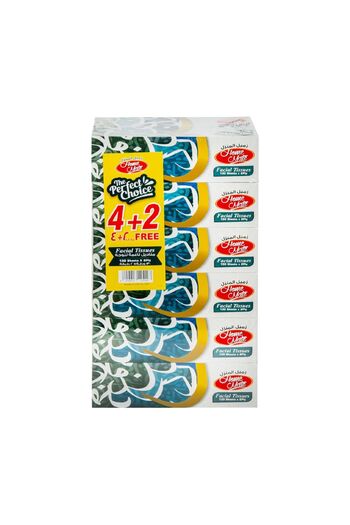 Homemate Home Mate Facial Tissue 2ply Value Pack – 6 Boxes x 130 Sheets (Soft & Gentle)