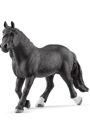 SCHLEICH تمثال حصان نوريكر ١٣٩٥٨ - نموذج حصان واقعي للأطفال (من ٣ إلى ٨ سنوات)