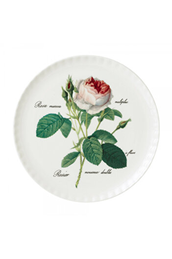 Roy Kirkham Redoute Rose Pasta Serving 30Cm-Single