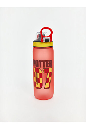 LC Waikiki Quality Parts from Çelebi Store |   Harry Potter Printed Water Bottle 630 ml