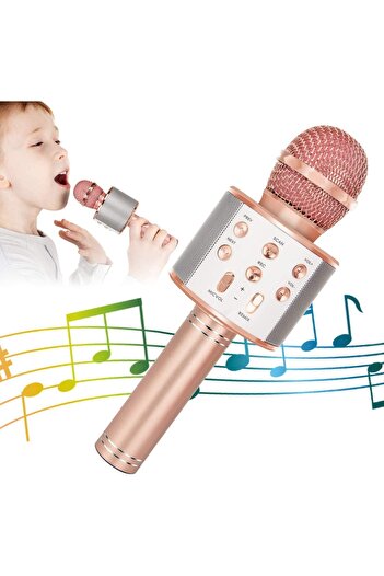 Generic Portable 5-in-1 Wireless Bluetooth Microphone for Karaoke with Speaker and Recorder, Adjustable FM R