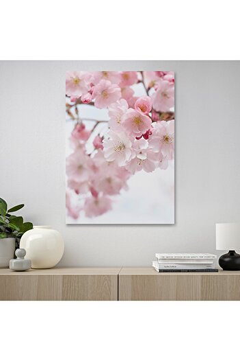 IKEA PJÄTTERYD Picture, cherry blossom/pink, 50 x 70 cm