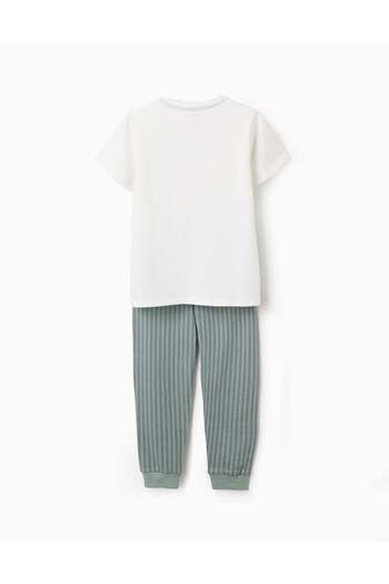 Ziddy Cotton Jersey Pyjama with Stripes for Boys, White/Green