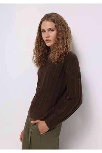 Colin's Regular Fit Half Turtleneck Plain Women's Brown Sweater