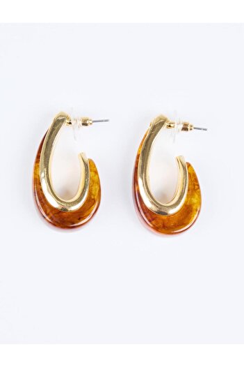 Jimmy Key Brown Color Gradient Asymmetrical Earrings