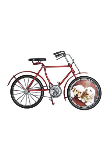 Menessa World Vintage Decorative Gift with Decorative Metal Bicycle Frame