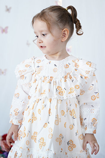 ALYRA Baby Girl Dress Long Sleeve Ruffled Cotton Birthday Party Special Occasion Wedding Casual Girl's Dress