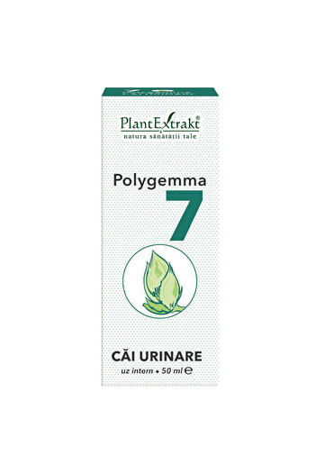 Other Polygemma 7 Ways Urinary Syrup, 50ml, Plant Extract