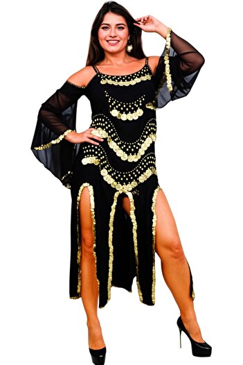 GENERAL Complete Belly Dance Costume with French Transparent Sleeves