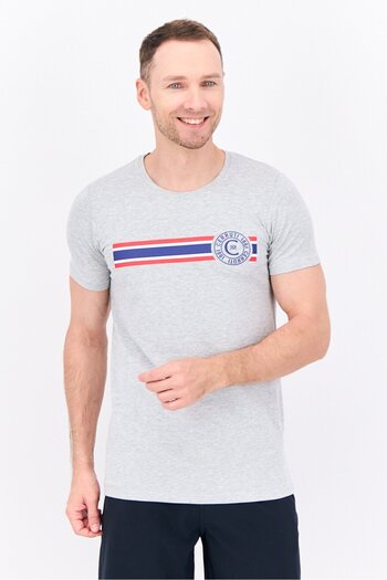 Cerruti 1881 Men Crew Neck Short Sleeves Brand Logo T-Shirt, Grey Combo