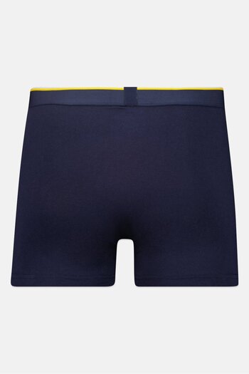 UCLA Men 3 Pack Brand Logo Trunks, Multicolor
