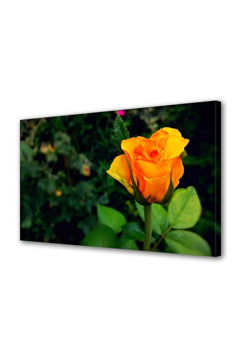 Alista Home Decorative wall painting with wooden frame, 33cm x 24cm, with flowers1352