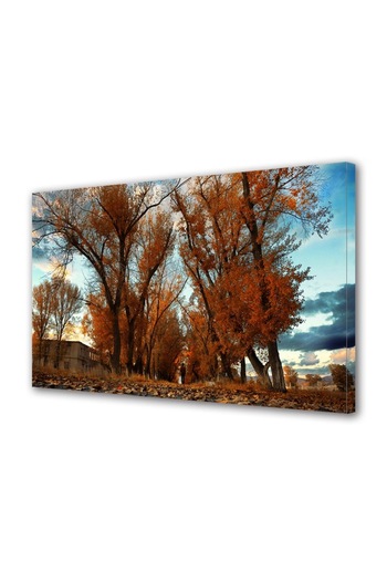 Alista Home Decorative wall painting with wooden frame, 33cm x 24cm, with flowers1787