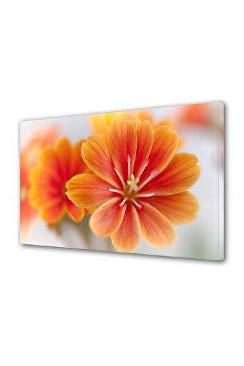 Alista Home Decorative wall painting with wooden frame, 33cm x 24cm, with flowers1446
