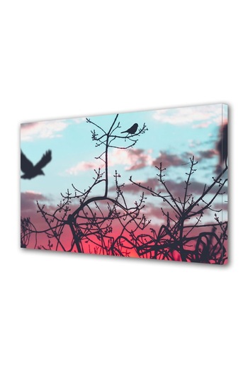 Alista Home Decorative wall painting with wooden frame, 33cm x 24cm, with flowers 1974
