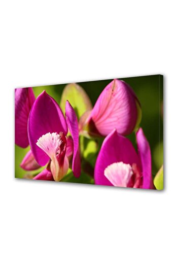 Alista Home Decorative wall painting with wooden frame, 33cm x 24cm, with flowers1378