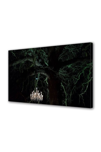 Alista Home Decorative wall painting with wooden frame, 33cm x 24cm, with flowers2034