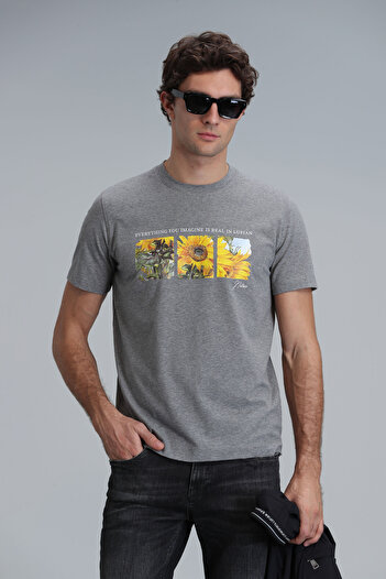 Lufian June Modern Graphic T- Shirt Gray