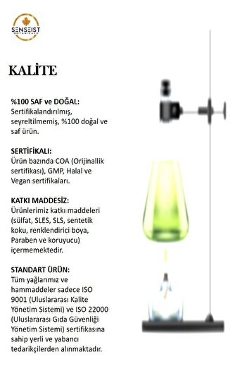 Senseist Botanicals Hint Yağı 30 ml | %100 Saf Doğal | Aromaterapi Masaj Cilt Saç Bakımı | Soğuk Sıkım
