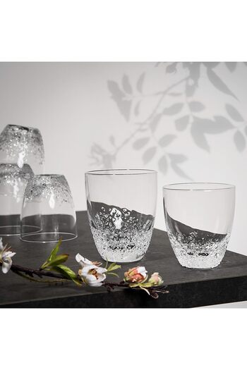erorex Set Of 4 Clear Ice Dregs Tumbler