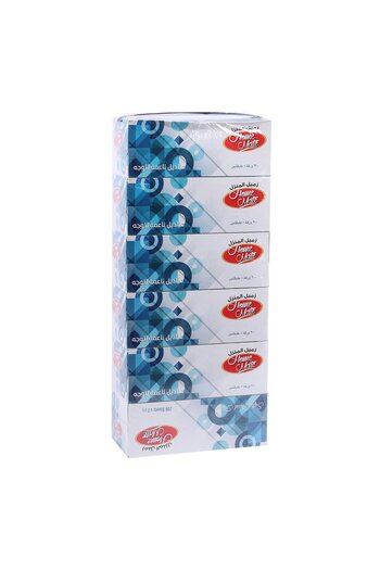 Homemate Home Mate Facial Tissue 2-Ply, 6 Packs x 200 Sheets – Soft & Strong Tissues