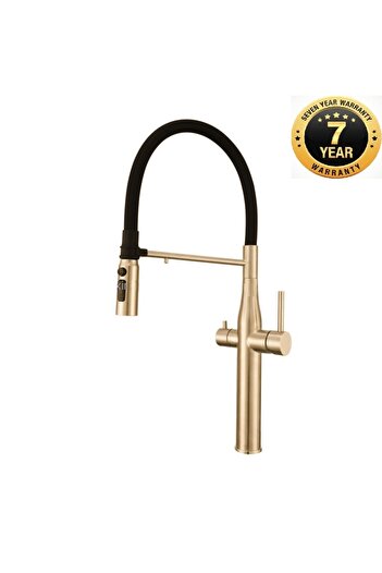 OEM Kitchen Sink Faucet with Dual Flow Water Purification Outlet, Spiral and Spout, Matte Gold, 7 Year Warranty, Imported
