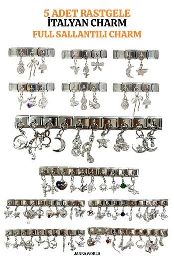 JANRA WORLD 5 Pieces Random Steel Italian Charm Full Dangle 9mm Italian Charm Bracelet Compatible