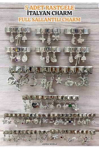 JANRA WORLD 5 Pieces Random Steel Italian Charm Full Dangle 9mm Italian Charm Bracelet Compatible