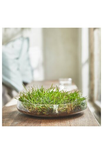 IKEA HEDERSAM Scented Candle in Glass, Fresh Grass/Light Green, 40 hr